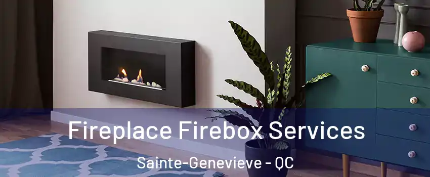  Fireplace Firebox Services Sainte-Genevieve - QC