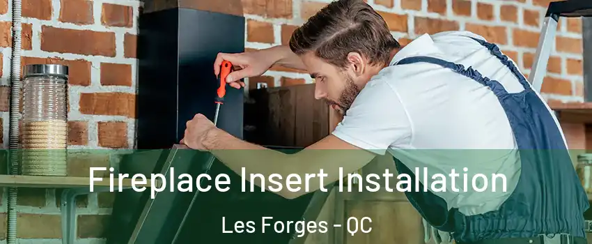 Fireplace Insert Installation Les Forges - QC