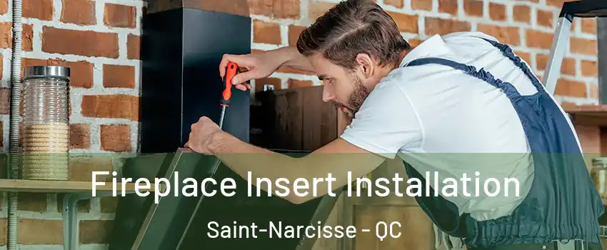  Fireplace Insert Installation Saint-Narcisse - QC