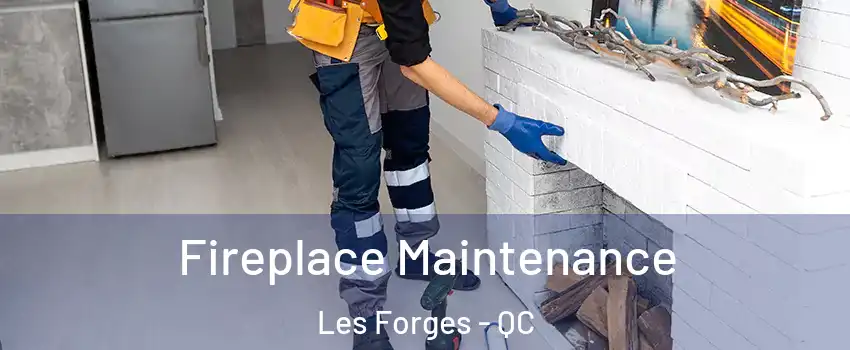  Fireplace Maintenance Les Forges - QC