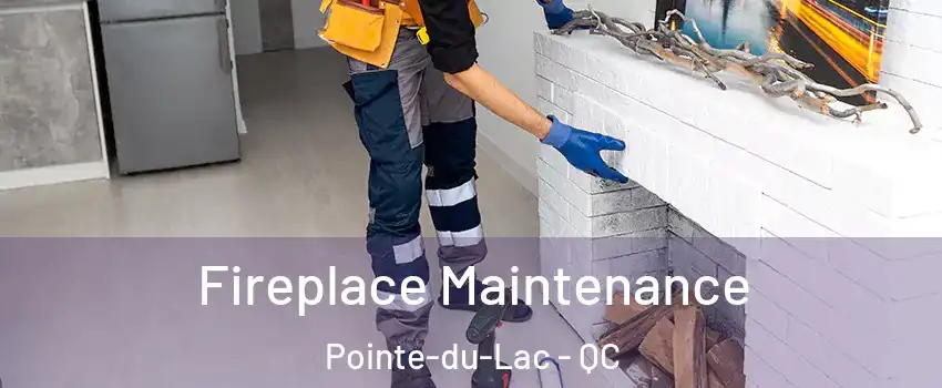  Fireplace Maintenance Pointe-du-Lac - QC
