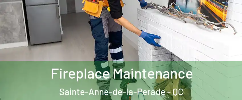  Fireplace Maintenance Sainte-Anne-de-la-Perade - QC