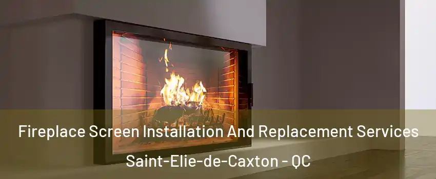 Fireplace Screen Installation And Replacement Services Saint-Elie-de-Caxton - QC