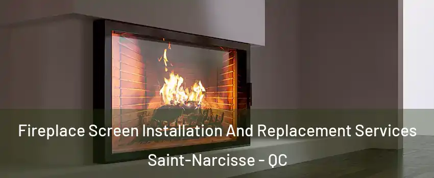 Fireplace Screen Installation And Replacement Services Saint-Narcisse - QC