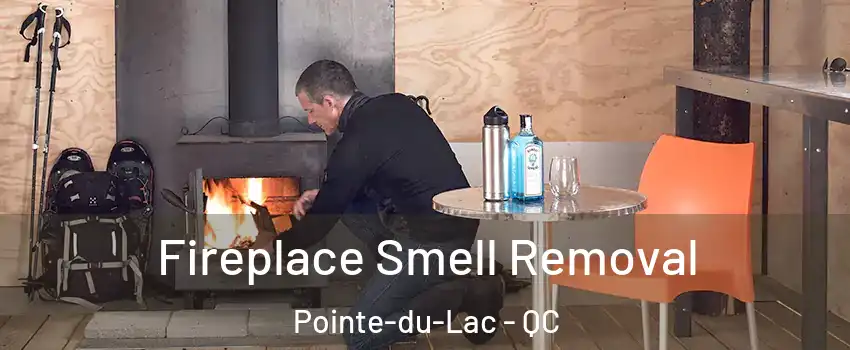  Fireplace Smell Removal Pointe-du-Lac - QC