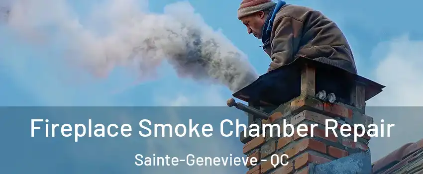  Fireplace Smoke Chamber Repair Sainte-Genevieve - QC