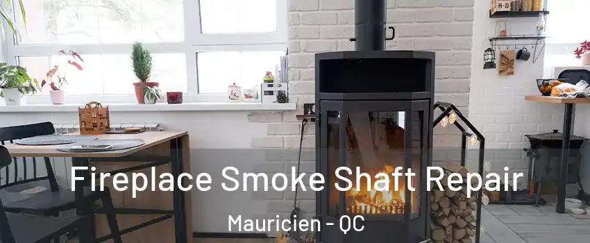  Fireplace Smoke Shaft Repair Mauricien - QC