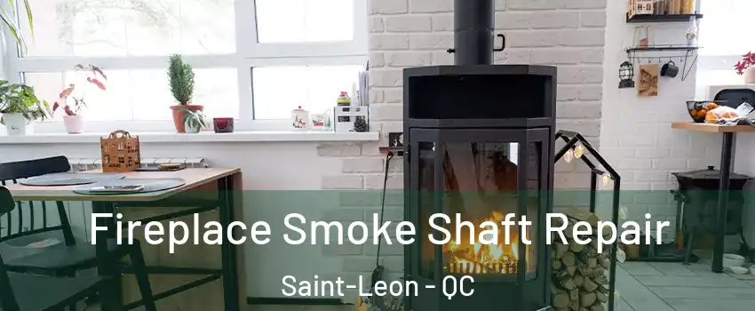  Fireplace Smoke Shaft Repair Saint-Leon - QC