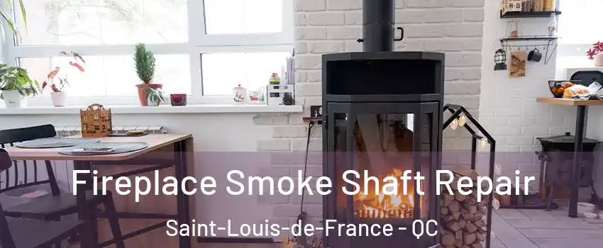  Fireplace Smoke Shaft Repair Saint-Louis-de-France - QC