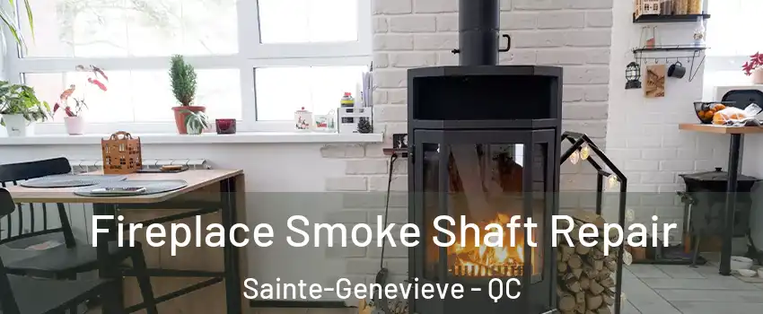  Fireplace Smoke Shaft Repair Sainte-Genevieve - QC