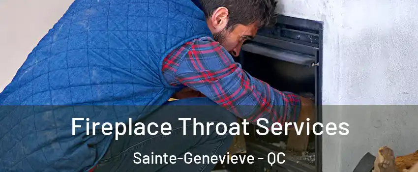  Fireplace Throat Services Sainte-Genevieve - QC