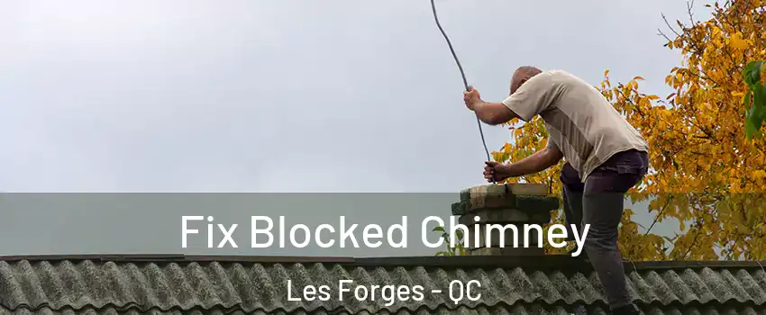  Fix Blocked Chimney Les Forges - QC