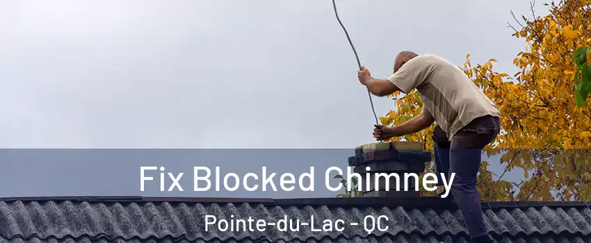  Fix Blocked Chimney Pointe-du-Lac - QC