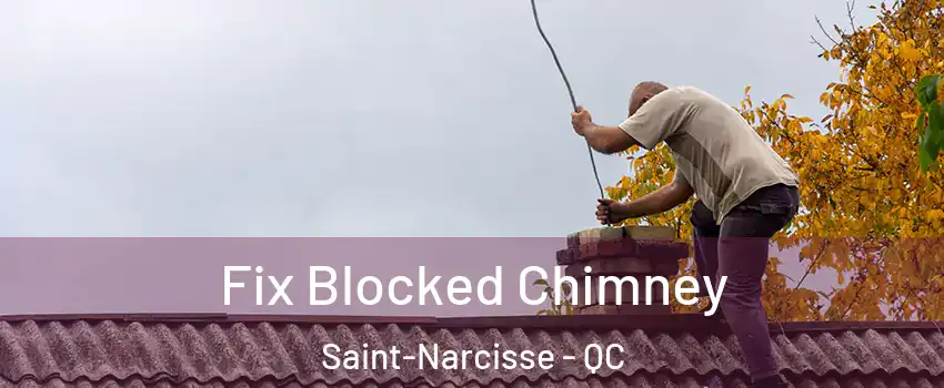  Fix Blocked Chimney Saint-Narcisse - QC