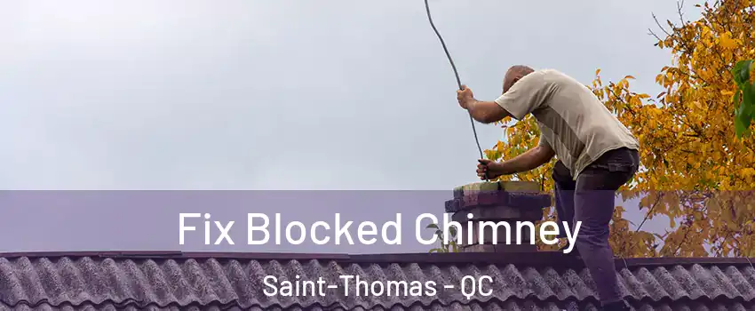  Fix Blocked Chimney Saint-Thomas - QC