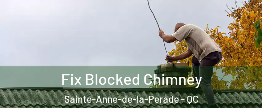  Fix Blocked Chimney Sainte-Anne-de-la-Perade - QC