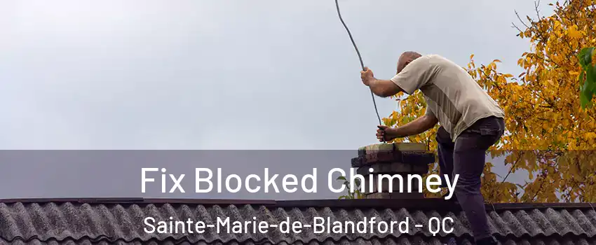  Fix Blocked Chimney Sainte-Marie-de-Blandford - QC