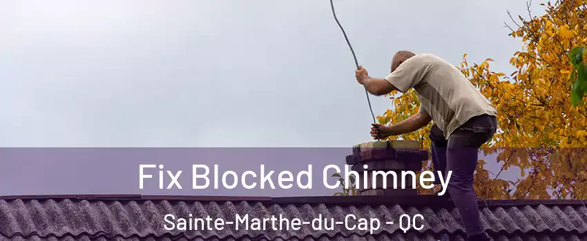  Fix Blocked Chimney Sainte-Marthe-du-Cap - QC