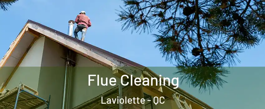 Flue Cleaning Laviolette - QC