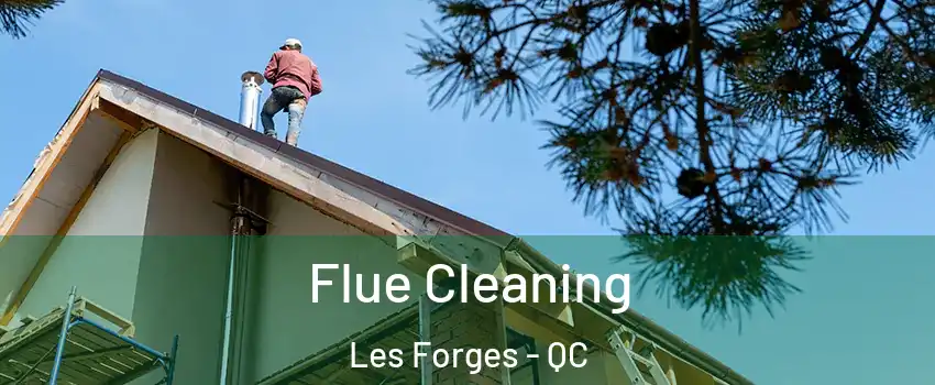  Flue Cleaning Les Forges - QC