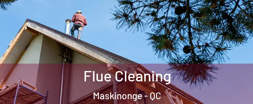  Flue Cleaning Maskinonge - QC