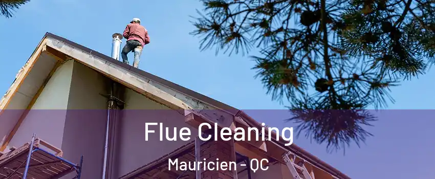  Flue Cleaning Mauricien - QC