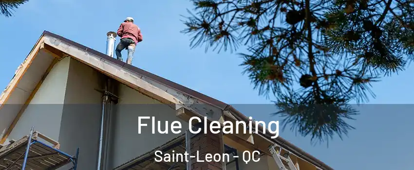  Flue Cleaning Saint-Leon - QC