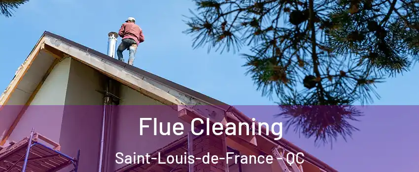  Flue Cleaning Saint-Louis-de-France - QC