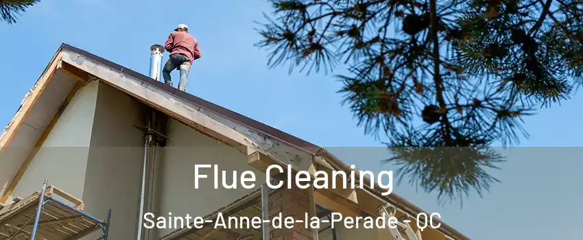  Flue Cleaning Sainte-Anne-de-la-Perade - QC