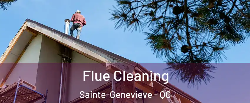  Flue Cleaning Sainte-Genevieve - QC