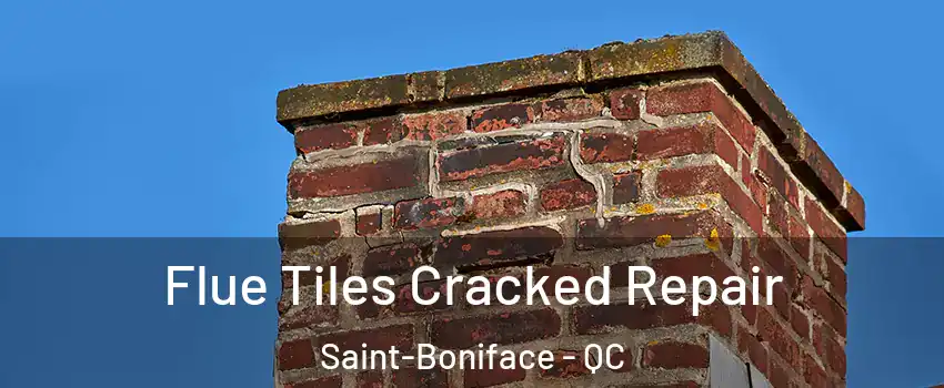  Flue Tiles Cracked Repair Saint-Boniface - QC