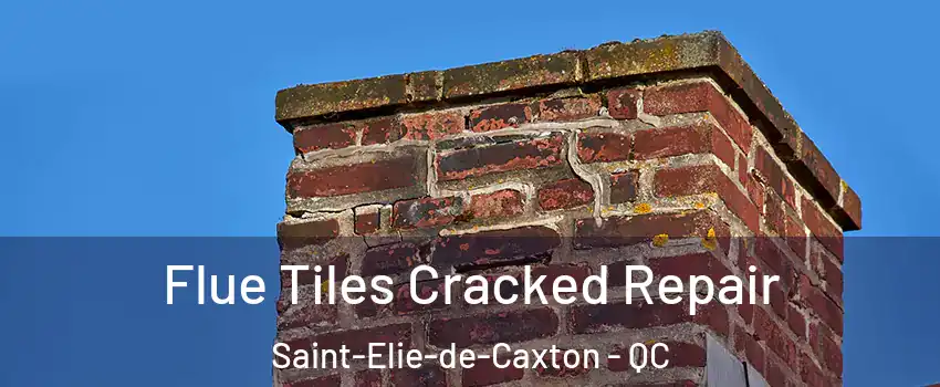  Flue Tiles Cracked Repair Saint-Elie-de-Caxton - QC