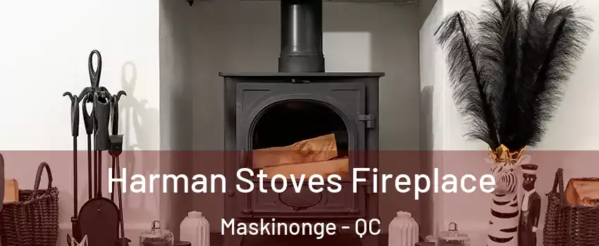  Harman Stoves Fireplace Maskinonge - QC
