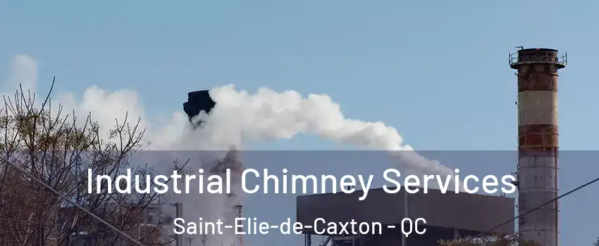  Industrial Chimney Services Saint-Elie-de-Caxton - QC