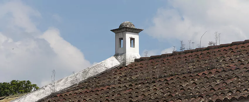 Wind-Resistant Chimney Caps Installation and Repair Services in Notre-Dame-du-Mont-Carmel, Quebec