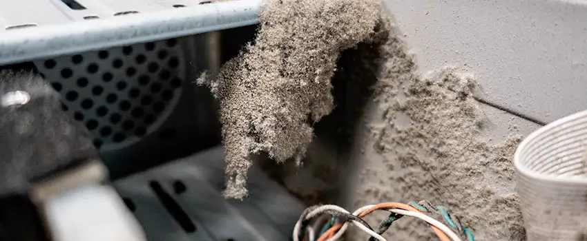 Clogged Dryer Vent Lint Cleaning in Saint-Boniface, Quebec