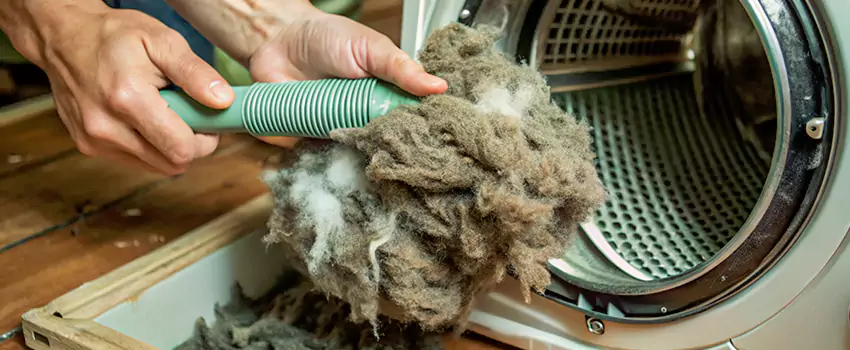 Best Dryer Lint Removal Company in Saint-Boniface, Quebec
