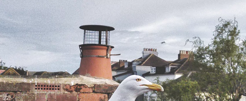 Chimney Cap Bird Guard Repair in Notre-Dame-du-Mont-Carmel, Quebec