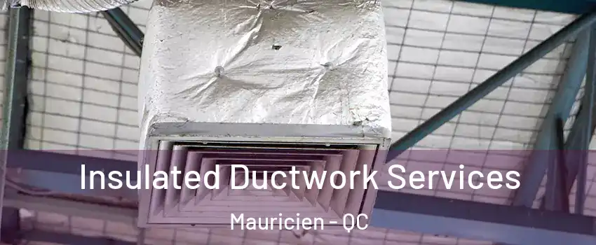  Insulated Ductwork Services Mauricien - QC