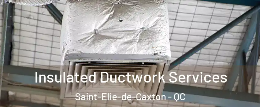  Insulated Ductwork Services Saint-Elie-de-Caxton - QC