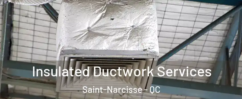 Insulated Ductwork Services Saint-Narcisse - QC