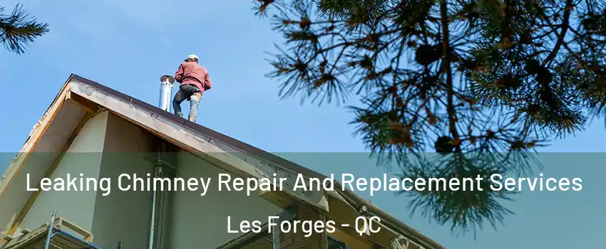  Leaking Chimney Repair And Replacement Services Les Forges - QC