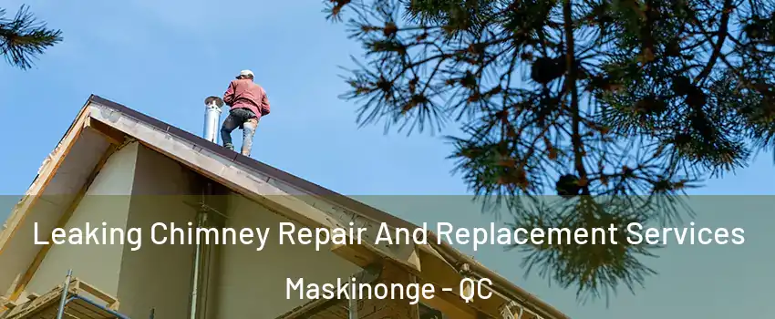  Leaking Chimney Repair And Replacement Services Maskinonge - QC