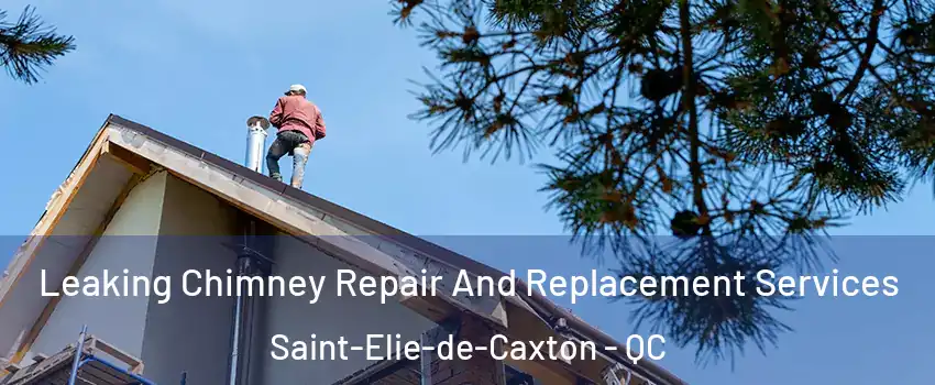  Leaking Chimney Repair And Replacement Services Saint-Elie-de-Caxton - QC