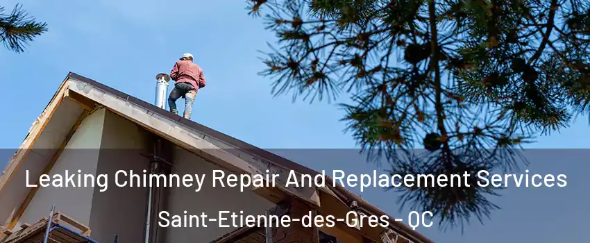  Leaking Chimney Repair And Replacement Services Saint-Etienne-des-Gres - QC