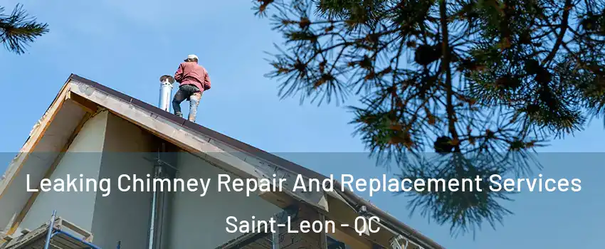  Leaking Chimney Repair And Replacement Services Saint-Leon - QC