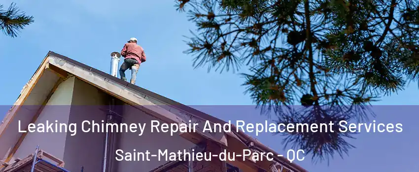  Leaking Chimney Repair And Replacement Services Saint-Mathieu-du-Parc - QC