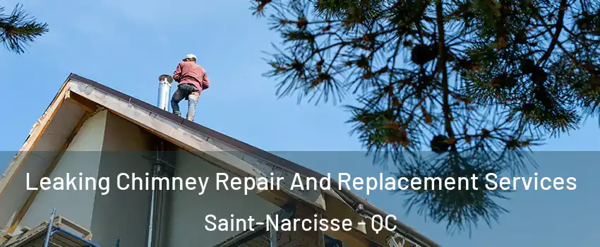  Leaking Chimney Repair And Replacement Services Saint-Narcisse - QC