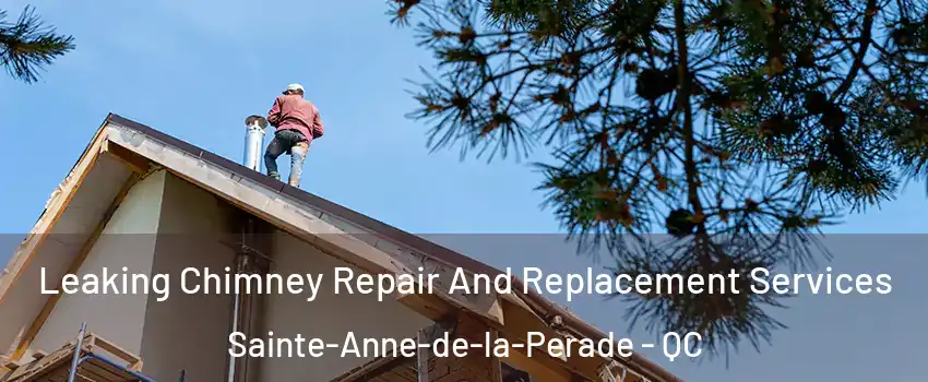  Leaking Chimney Repair And Replacement Services Sainte-Anne-de-la-Perade - QC
