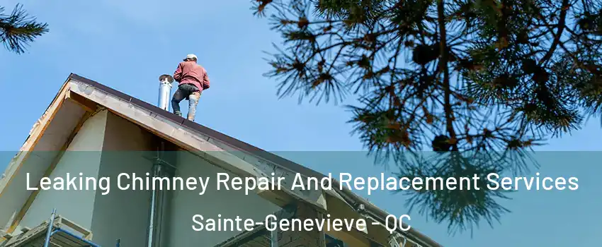 Leaking Chimney Repair And Replacement Services Sainte-Genevieve - QC